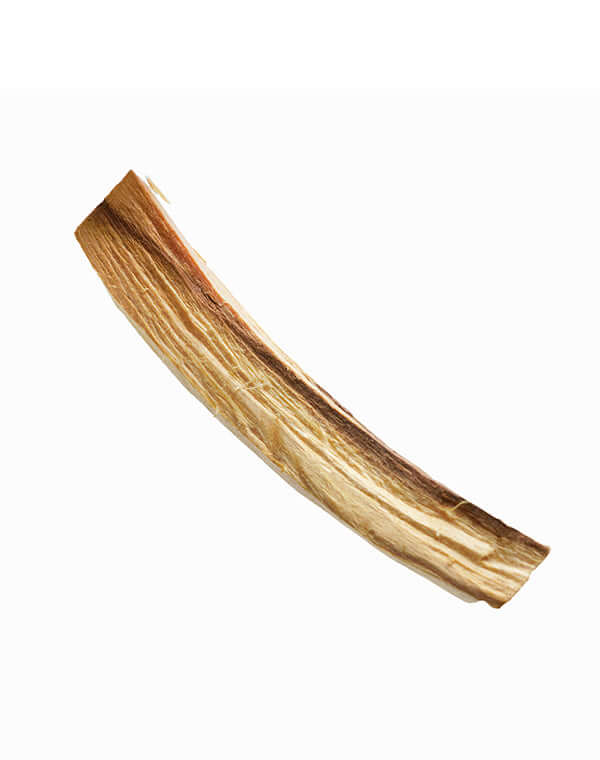 Palo Santo 標本瓶(10本入) / 903398243001 – satoseni online