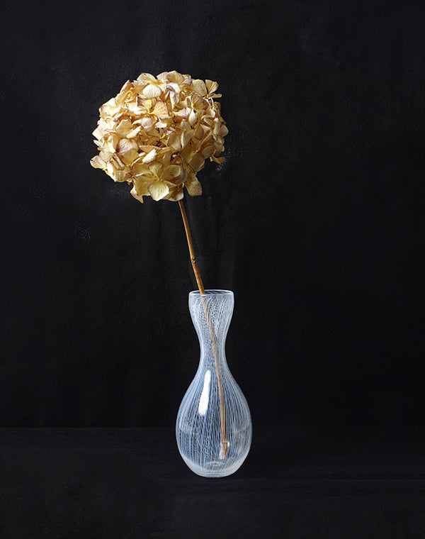 ヒヤシンス 花瓶 透明 溝付 イギリス ドイツ アンティーク - 花瓶