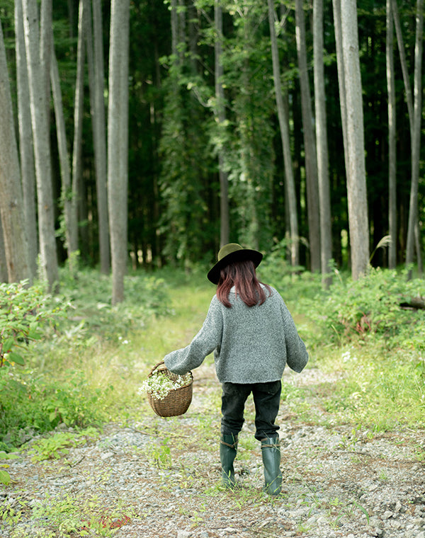 
                  
                    Load image into Gallery viewer, wool V neck pullover / BEA24503LH
                  
                