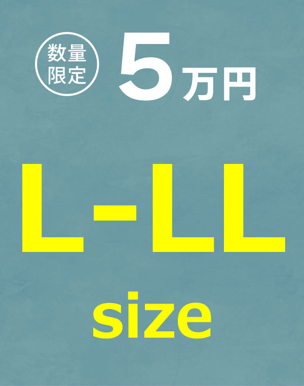 
                  
                    Load image into Gallery viewer, 2026年新春メンズ5万円福袋 / BFT16894MA
                  
                