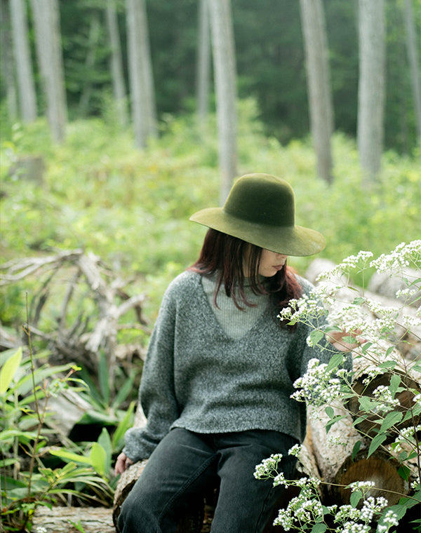 
                  
                    Load image into Gallery viewer, wool V neck pullover / BEA24503LH
                  
                