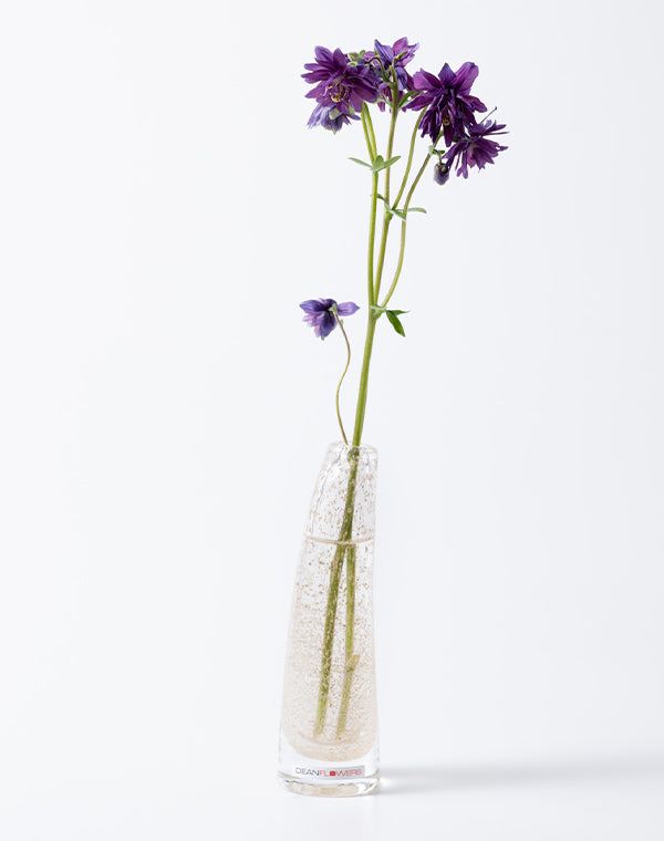 Grass S ビジュー / 903565253042 – satoseni online store /サトウ