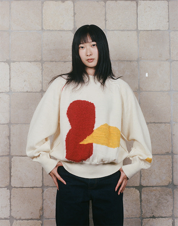 
                  
                    Load image into Gallery viewer, Burst Pattern Pullover / BEA25404UA
                  
                