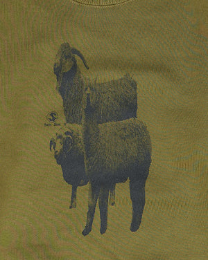 
                  
                    Load image into Gallery viewer, alpaca sweat / SatoSeni x GEA / Alpaca &amp;amp; Sheep Swea / 157018201001
                  
                